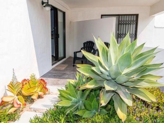 Paternoster Roosmarijn Rooms - Inverter Kültér fotó